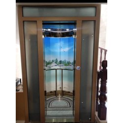 OVAL KABİN EV ASANSÖRÜ