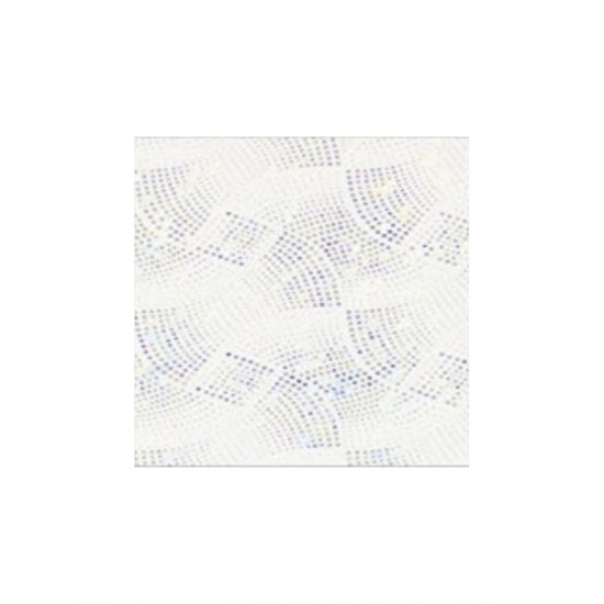 H-03 HOLOGRAM