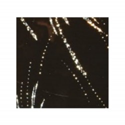 H-05 HOLOGRAM