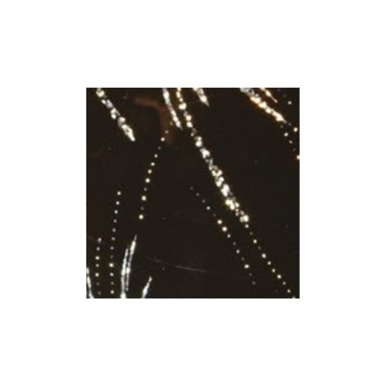 H-05 HOLOGRAM